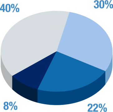 pie-chart-2-blue